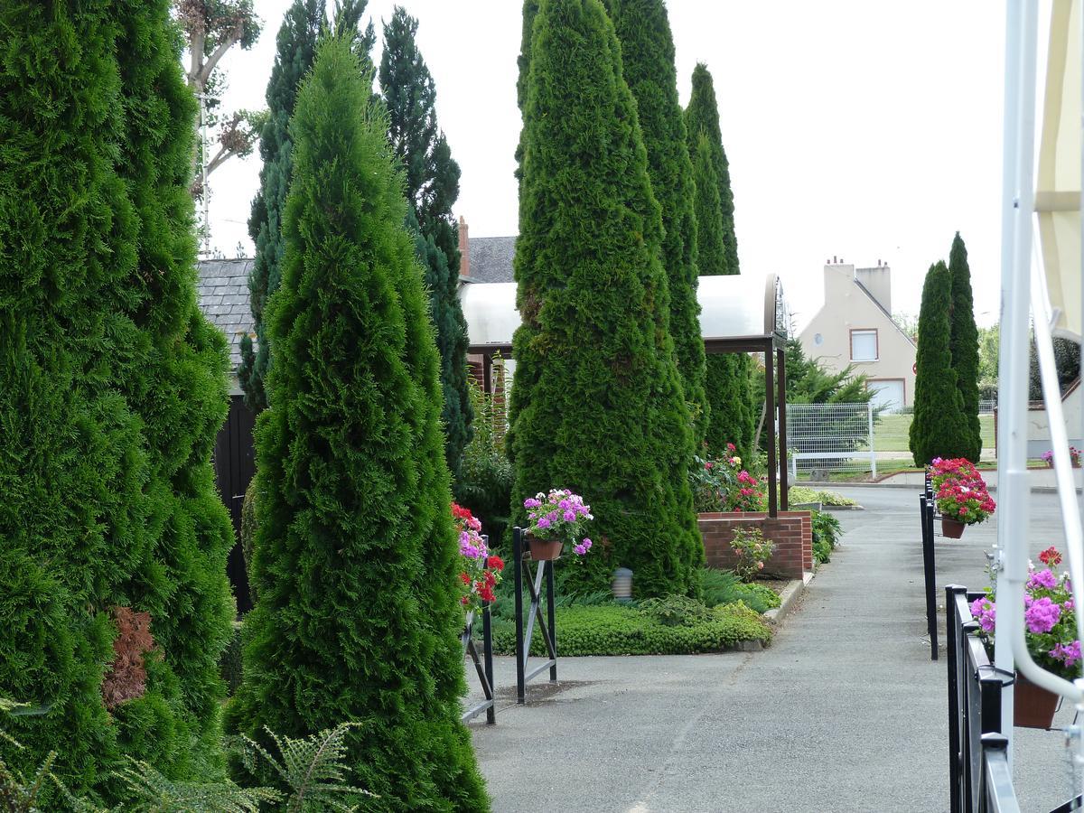 Hostellerie Du Chateau Saint-Pere-sur-Loire Eksteriør bilde